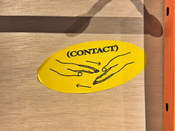 Wunderino Kasino Podpora